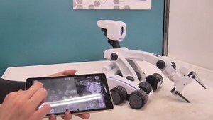 Выставка Парк Роботов в Тюмени