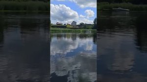 Жерех бьёт, но не клюёт. Издевательство