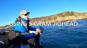 Fishing Shallow Water With Softbaits For Big Snapper in Winter