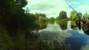 Линь 2.200. Безымянное озеро. #fishing