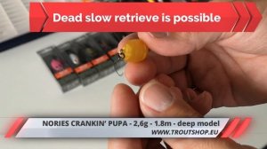 Nories Wobblers - CRANKIN’ PUPA BOSS SHALLOW - CRANKIN’ PUPA SHALLOW - CRANKIN’ PUPA