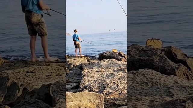 Что ловится в Чёрном море? Нажмите два раза на экран.#поселокволна #краснодарскийкрай