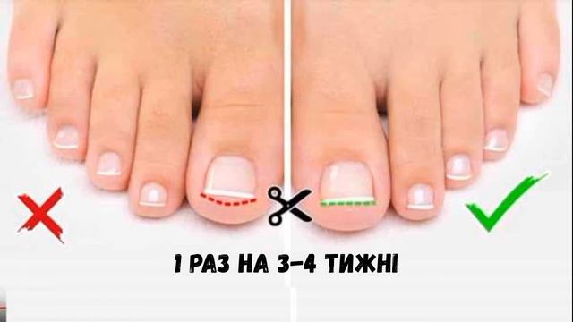 Корисні звички. Відеокейс. Тема 5: Особиста гігієна