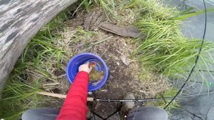 РЫБАЛКА НА КАРАСЯ ВЕСНОЙ