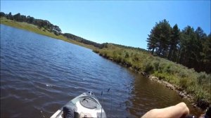 YO ZURI 3 D 70SP X BLAK BASS