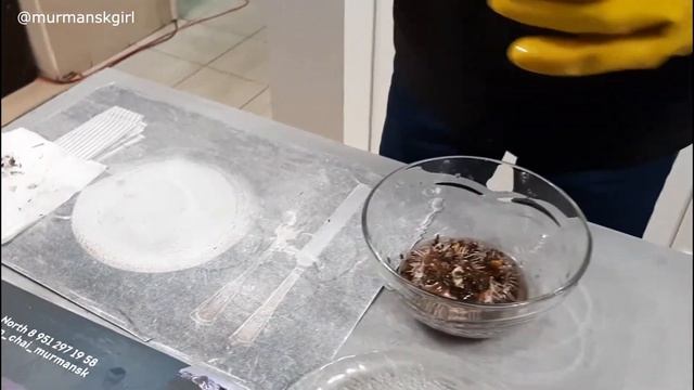 Ч.8 Мурманск.Прогулка по городу,поедание морских ежей.Морской еж,устрицы.Экскурсия. смотреть онлайн