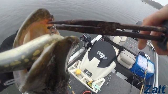 Pikefishing Zalt Z 17