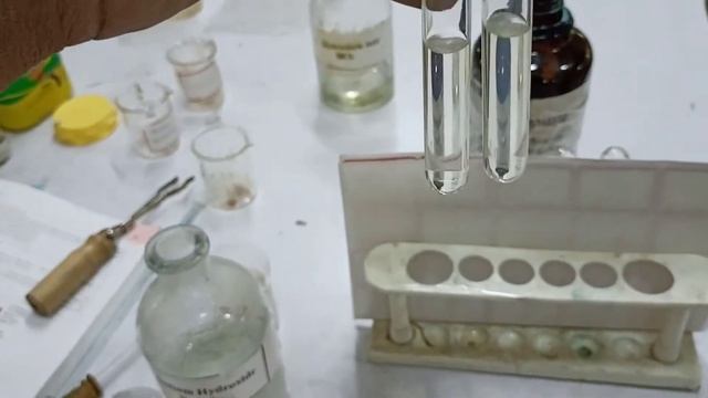 Carbohydrate Testing | Testing Sucrose (Disaccharide)Benedict Test | Fehling Test|11th Grade Bio La смотреть онлайн