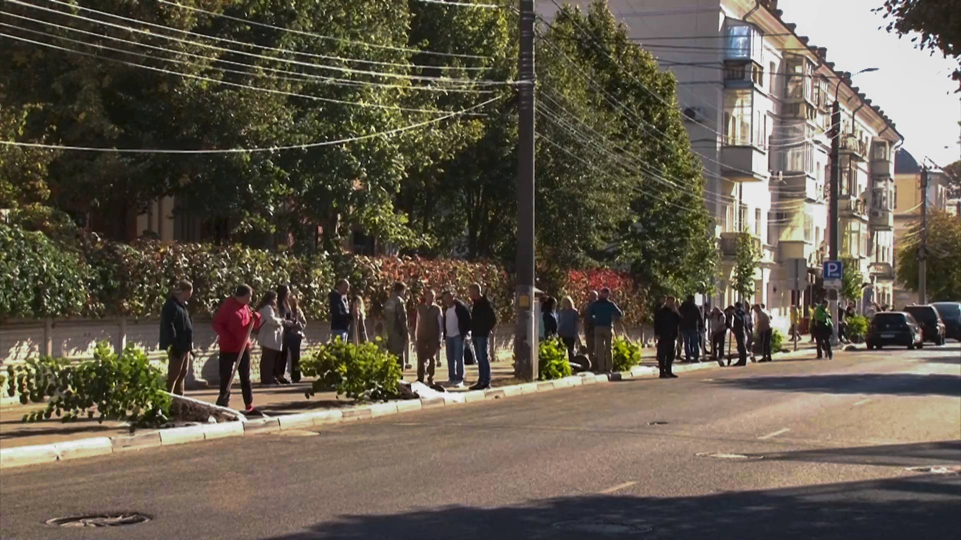 В Рязани приступили к масштабному озеленению города