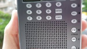 DEGEN DE1105_11725kHz RNZI