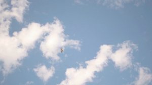 никита валерия. волгоград