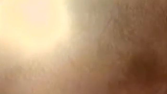 Жизнь под микроскопом 2 смотреть онлайн