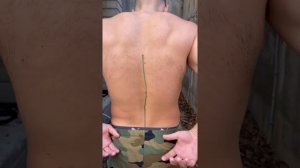 Широчайшая мышца спины: анатомия, топография, тренировка.