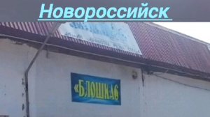 Блошка в Новороссийске и мои находки 👌