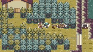 Pokemon SpinSpinSpin - Отличный взлом GBA ROM, общайтесь с NPC, проходите квесты, собирайте предметы