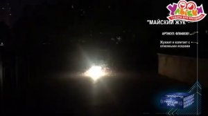 ФЛ0400301 Майский жук