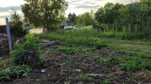 Как определить точные границы земельного участка: 3 варианта развития событий