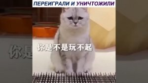 Работа прошла реально прям на УРА