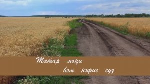 Олы юлнын тузаны. Татар халык кое.