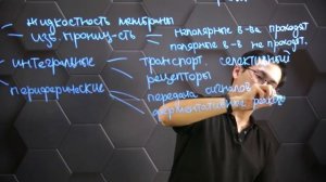 Функции мембранных белков, фосфолипидов, гликопротеинов, гликолипидов, холестерола. 10 класс.