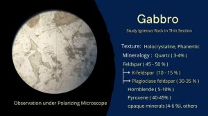 Gabbro in Thin Section | Intrusive Mafic Igneous Rock under Microscope | PPL, XPL Petrology