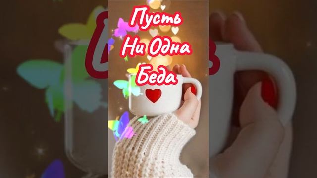 ДОБРОГО Вечера Дорогие Мои! #видеоткрытки