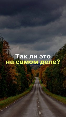 ЧЕМ ОПАСНА ДОРОГА ОСЕНЬЮ? #фейк #факты #новости