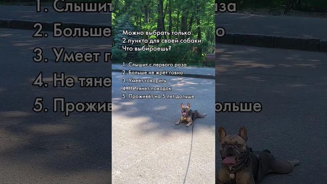 Я выбираю 4 и 5 а вы? #лучшийдруг #моясобака #французскийбульдог смотреть онлайн