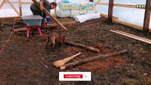 НОВАЯ ТЕПЛИЦА 200кв.м