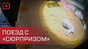 В Дагестане пресечена попытка контрабанды наркотиков