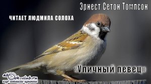 Эрнест Сетон Томпсон "Уличный певец" (рассказ)