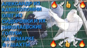 Голуби Александра из Каменоломни, Олега из Сидоровки и многое другое на ярмарке в г.Шахты.