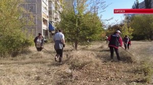 ТК "Родной". Коммунальные службы Кировска благоустраивают город