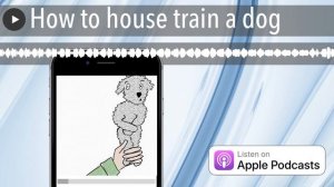 How to house train a dog