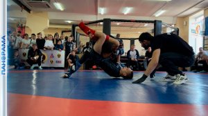 Золотой кубок — Донецку! В ДНР состоялись соревнования по ММА