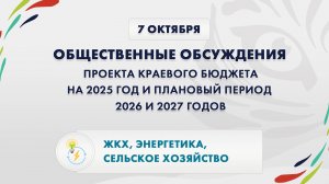 Общественные обсуждения бюджета на 2025 год: ЖКХ, энергетика, сельское хозяйство