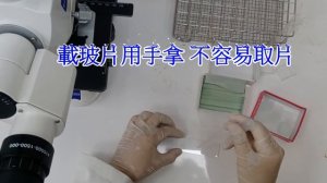 中文版 顯微鏡 玻片整合分配器 10612