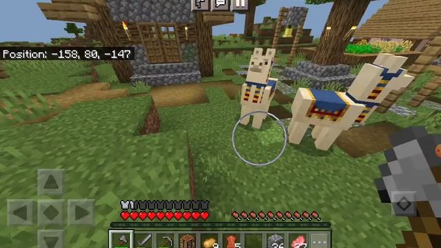 we started new smp and we gone lots of fun gone to mine diamond and my friend see in video🤣🤣  part