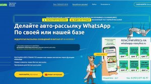 Запуск ватсап рассылки , отчет whatsapp рассылки , сбор ответов и сбор базы для рассылки ватсап