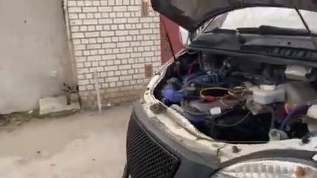 Громкая газель от 62 hz team смотреть онлайн