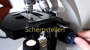 Instellen microscoop