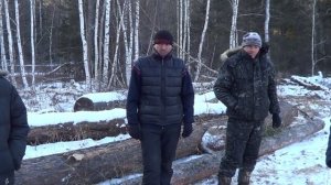 В Боханском районе задержали шестерых черных лесорубов