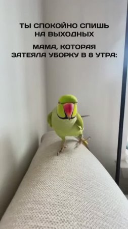 Выходные: