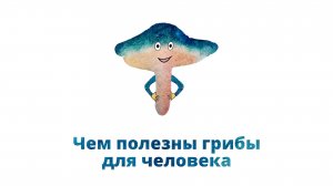 33. Чем полезны грибы для человека