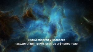 Как желать, чтобы сбылось? 

Что мешает исполнению желания? 

Как и что нужно исправить для реализац