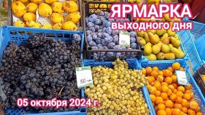 Краснодар - Ярмарка выходного дня на ул. Одесской - цены на продукты - 05 октября 2024 г.