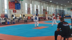 5.10.24 Алексей Погосян красный жилет 1 бой, Славянск на Кубани Тхэквондо.