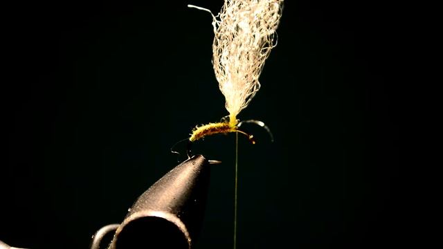 test videio смотреть онлайн