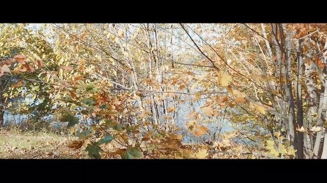путешествие Владимирская область.