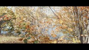 путешествие Владимирская область.